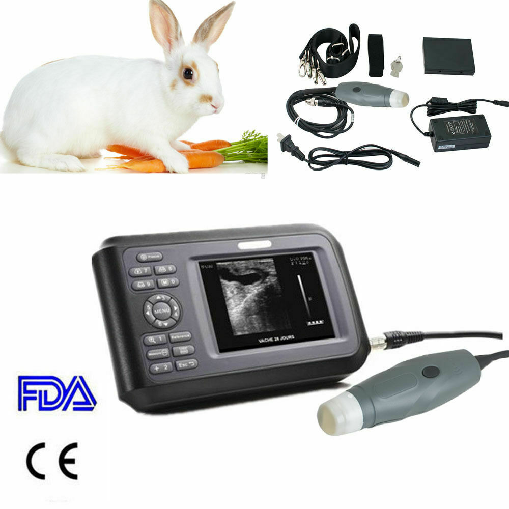 Palmtop Ultrasound Scanner Machine Handscan Machine Animal Veterinary+case New